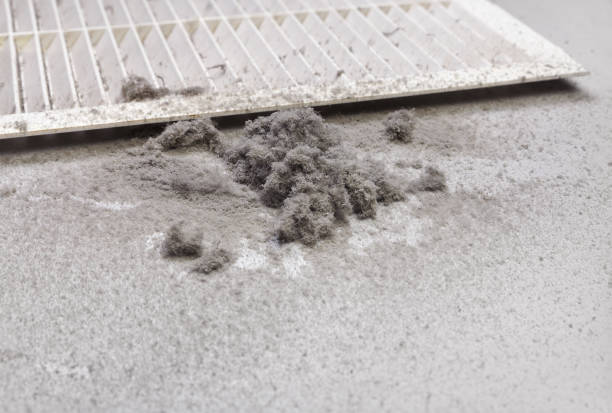 Best Best Air Duct Cleaning Company  in Schuyler, NE