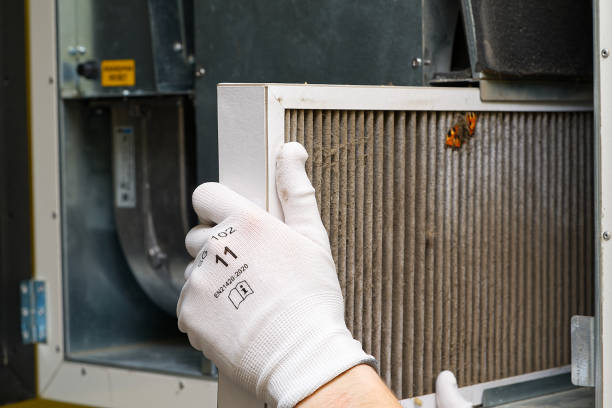 Air Duct Mold Removal in Schuyler, NE