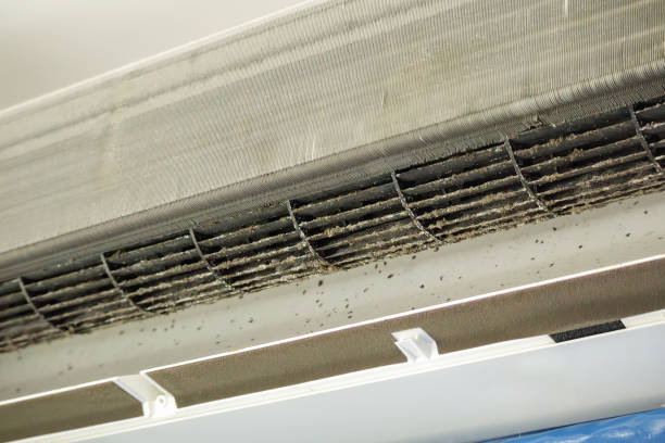 Best Affordable Air Duct Cleaning  in Schuyler, NE